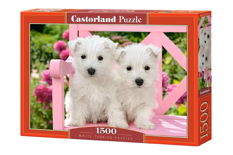 White Terrier Puppies
